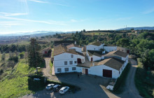 BODEGA MIQUEL JANE6