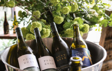Punt Road Wines9