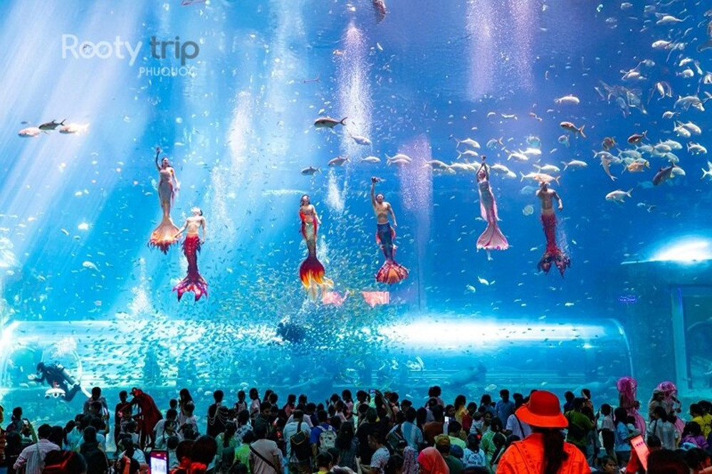 Phu Quoc Vinpearl Safari & VinWonders Full-Day Tour