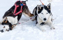 Lind Fjälläventyr AB4