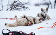 Lind Fjälläventyr AB2