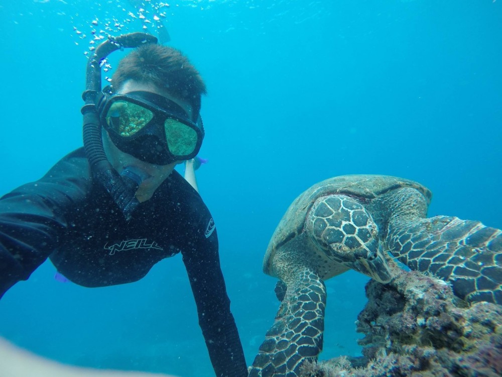 Snorkel Cano Island Full Day Uvita Project Expedition