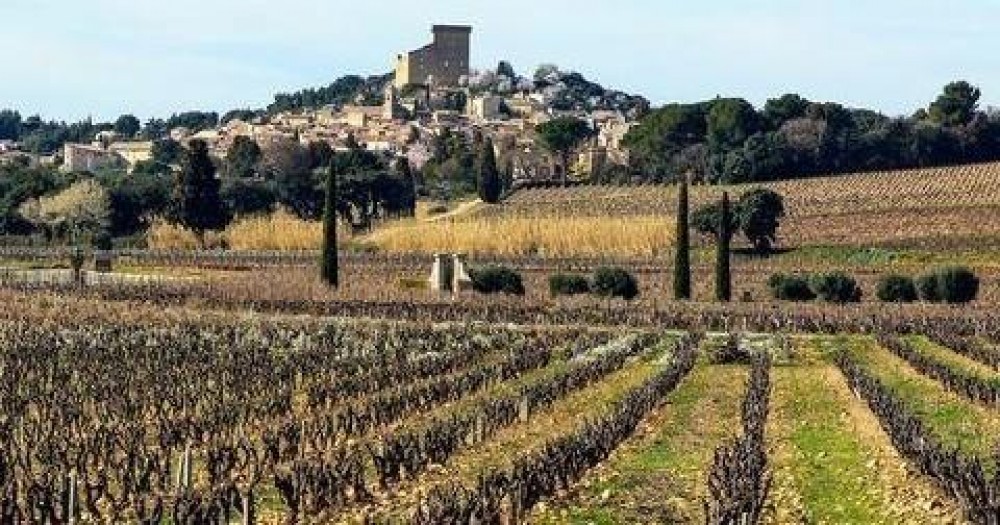 Chateauneuf Du Pape Vineyard Wine Tour Marseille Project Expedition