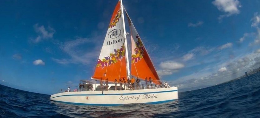 Turtle Snorkel Sail With Lunch