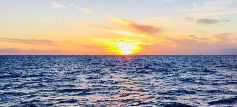Sunset Cocktail Cruise