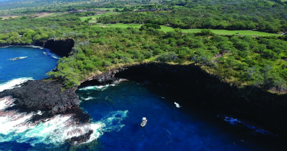 Kona Wildlife-Guaranteed Catamaran Cruise from Waikoloa A-Bay