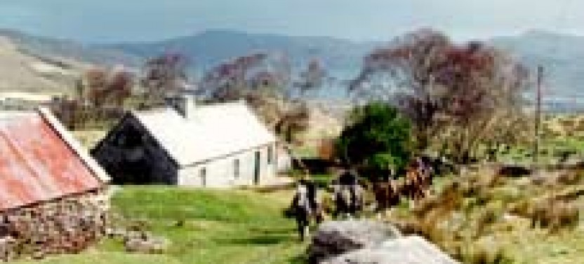 Killarney National Park Horseback Ride - County Kerry (3 Hours)