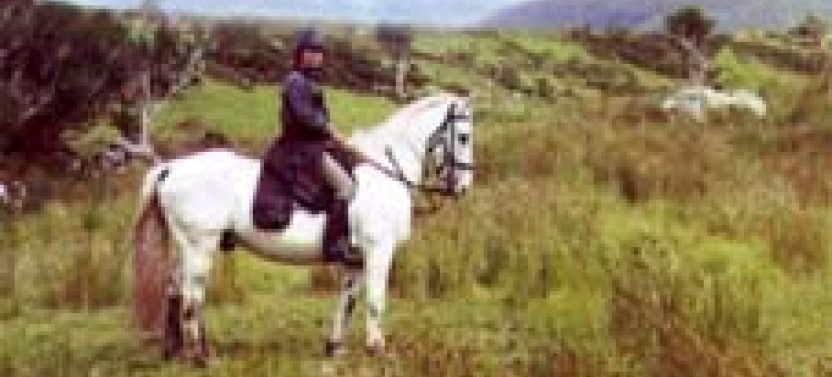 Killarney National Park Horseback Ride - County Kerry (3 Hours)