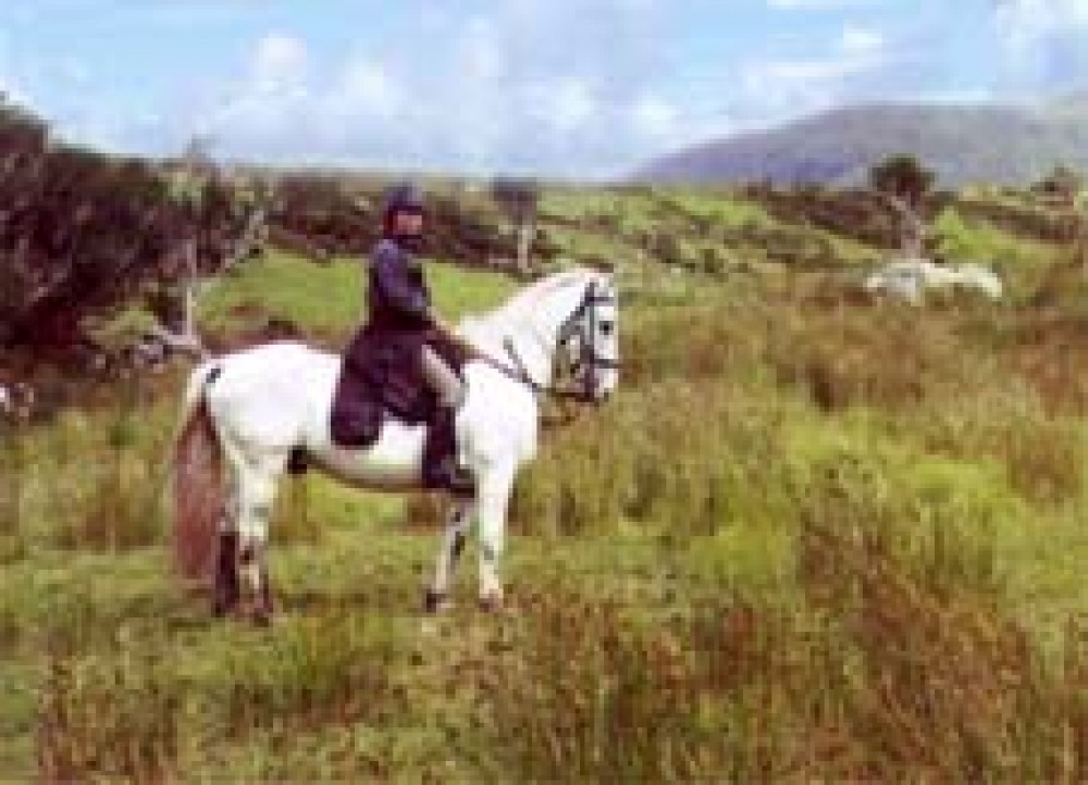 Killarney National Park Horseback Ride - County Kerry (3 Hours)