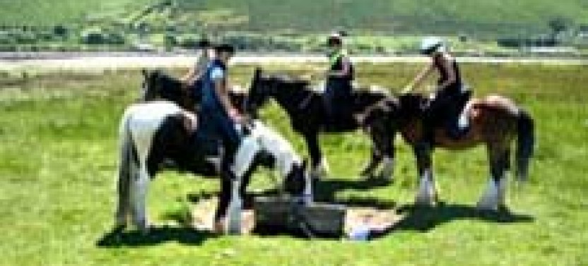 Killarney National Park Horseback Ride - County Kerry (3 Hours)