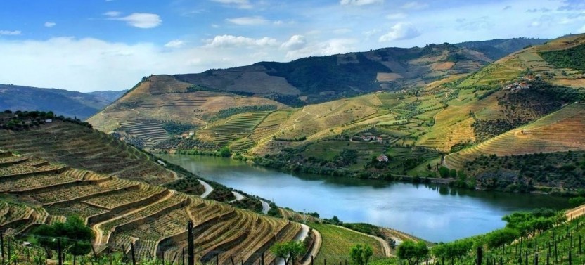 Douro Valley 4x4 Private Tour: A Personalized & Unique Itinerary