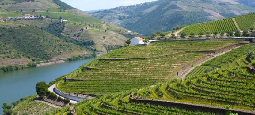 Douro Valley 4x4 Private Tour: A Personalized & Unique Itinerary