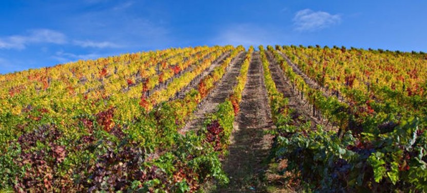 Douro Valley 4x4 Private Tour: A Personalized & Unique Itinerary