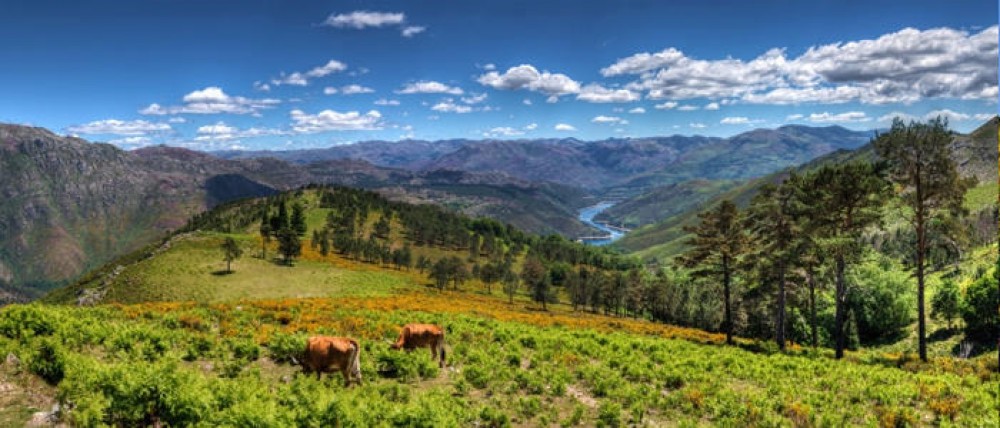 Private Geres Tour: Peneda-Gerês National Park