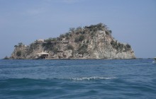 Pelicano Island
