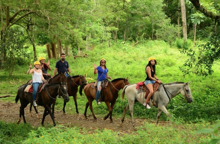 Zip Line Canopy + Horseback Riding