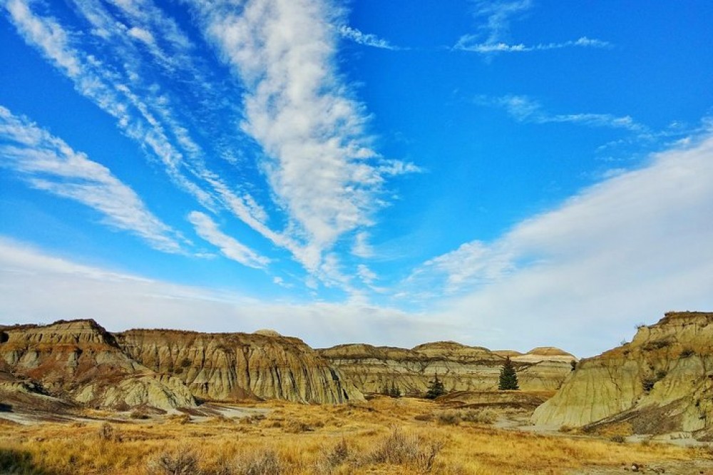 Private Calgary to Royal Tyrrell Museum, Drumheller & Badlands