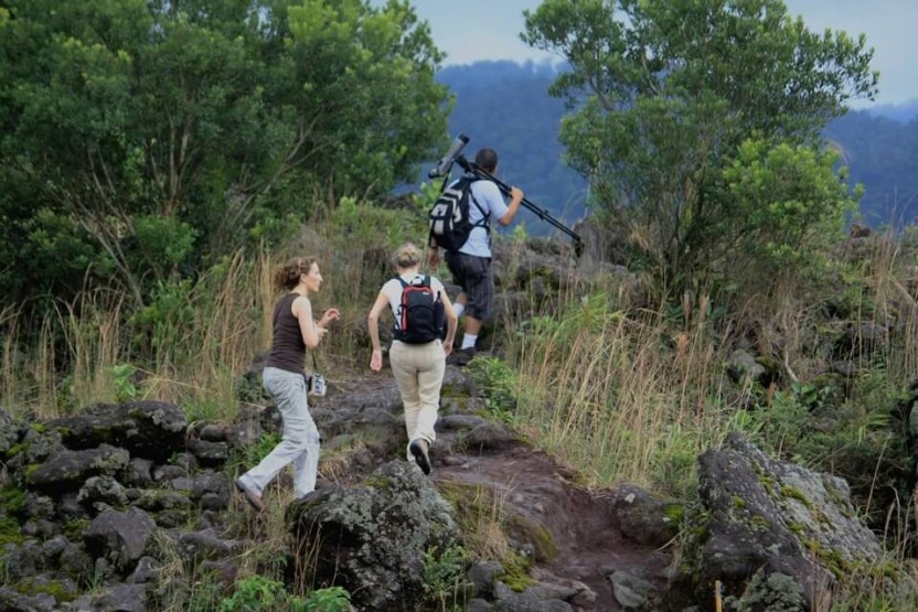 Combination Tour: 4 Activities in 1 Day