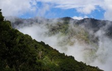 Juan Castro Blanco Cloud Forest (Searching for the Quetzal)