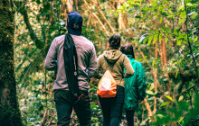 Ecoterra CR3