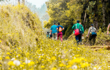 Ecoterra CR4