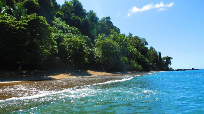Snorkeling and Beach Day at Cano Island