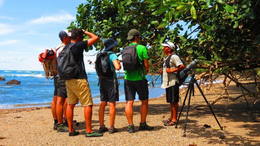 Corcovado Nature Tour - Full Day