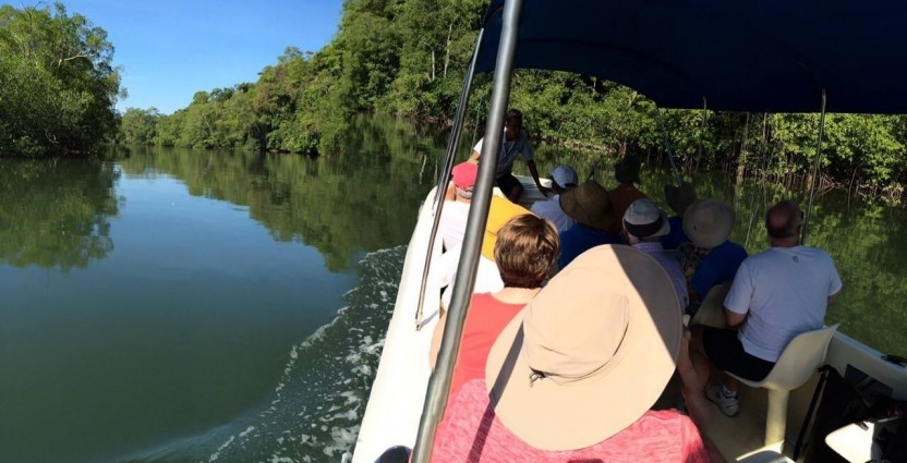 Mangrove Nature Trip