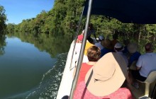 Mangrove Nature Trip