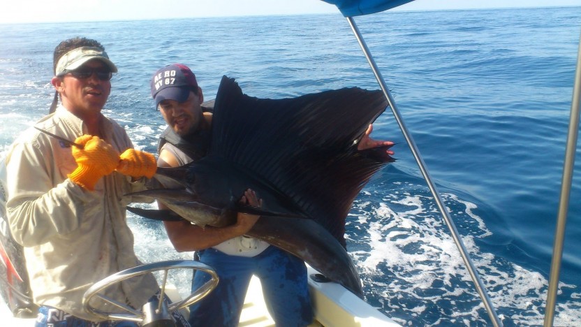 Inshore Fishing - Half Day