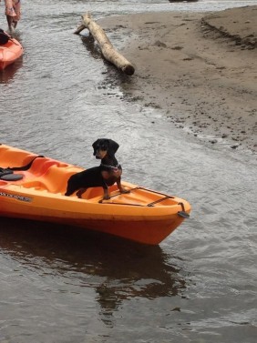 Sea Kayaking Uvita Beach