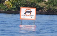 Amigos Jungle Tours44