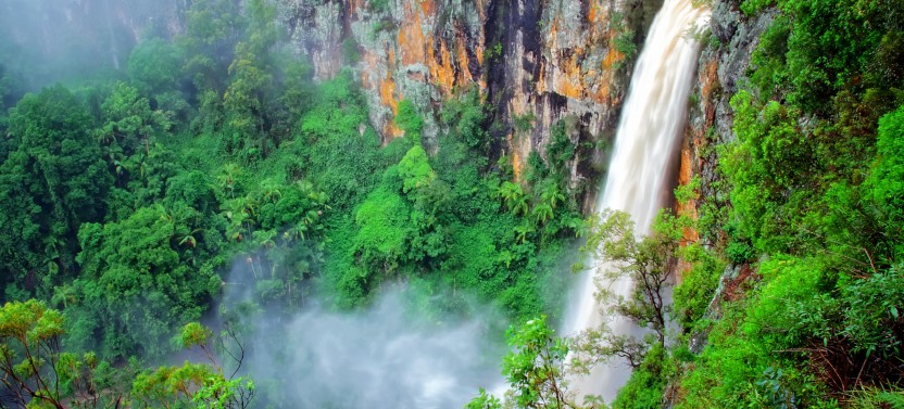 Natural Bridge & Springbrook Waterfalls Tour