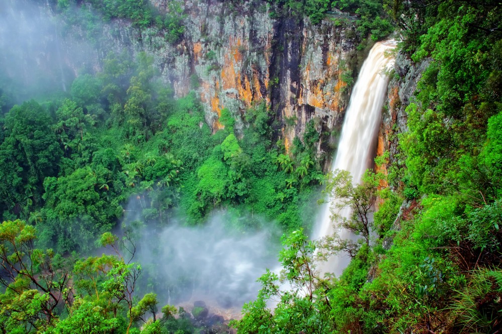 Natural Bridge & Springbrook Waterfalls Tour