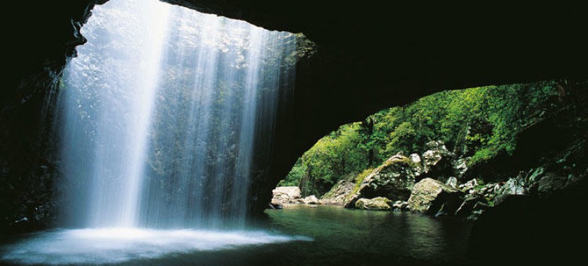 Natural Bridge & Springbrook Waterfalls Tour