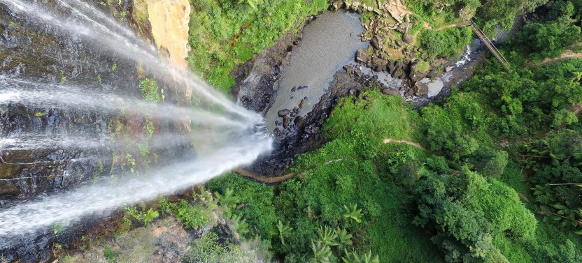 Natural Bridge & Springbrook Waterfalls Tour