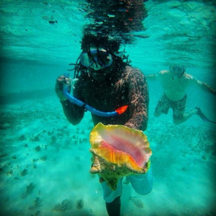Snorkeling Caye Caulker