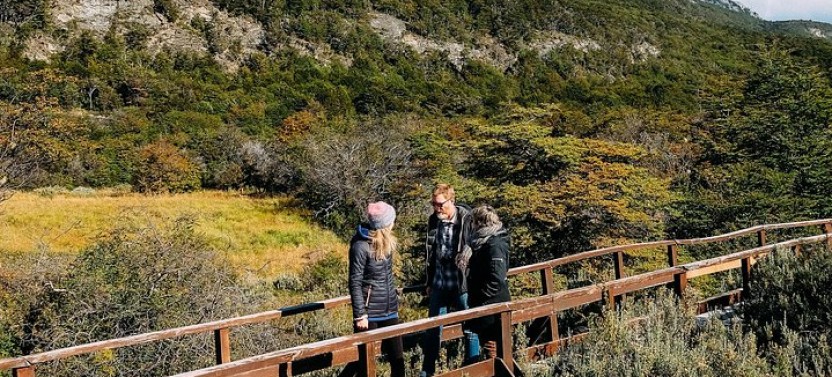 Shore Excursion: Private Tour of Tierra Del Fuego National Park