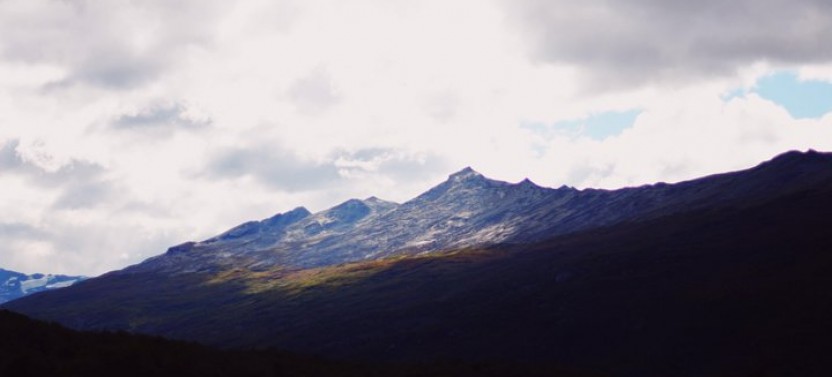 Shore Excursion: Private Tour of Tierra Del Fuego National Park