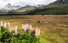 Latitud Ushuaia Travel11