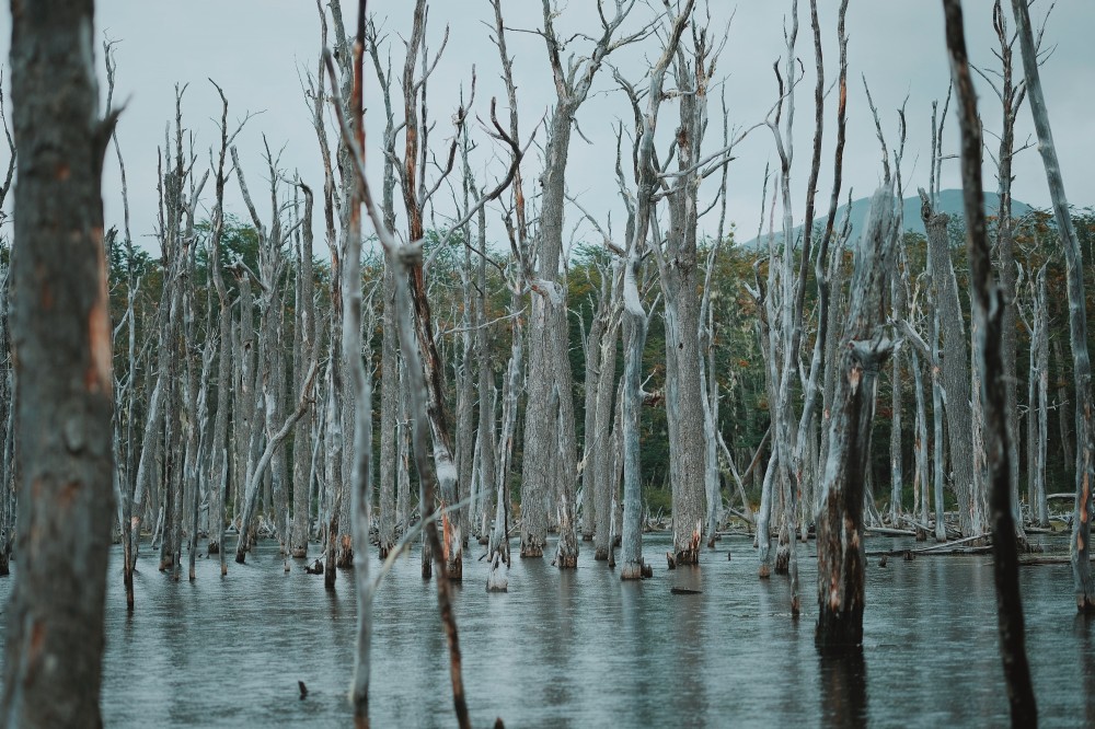 Latitud Ushuaia Travel