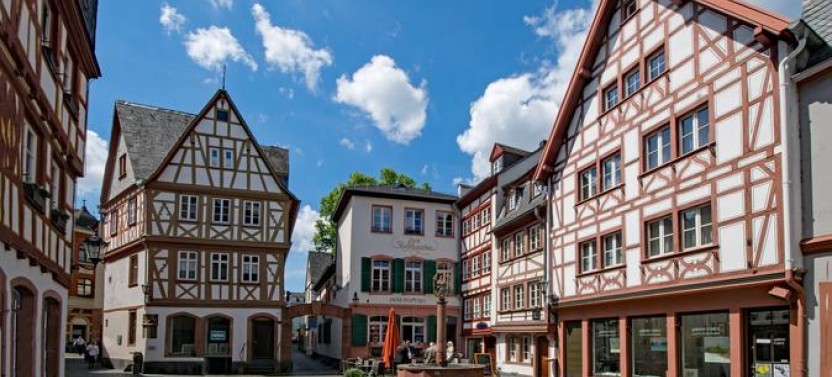 Mainz Private Walking Tour