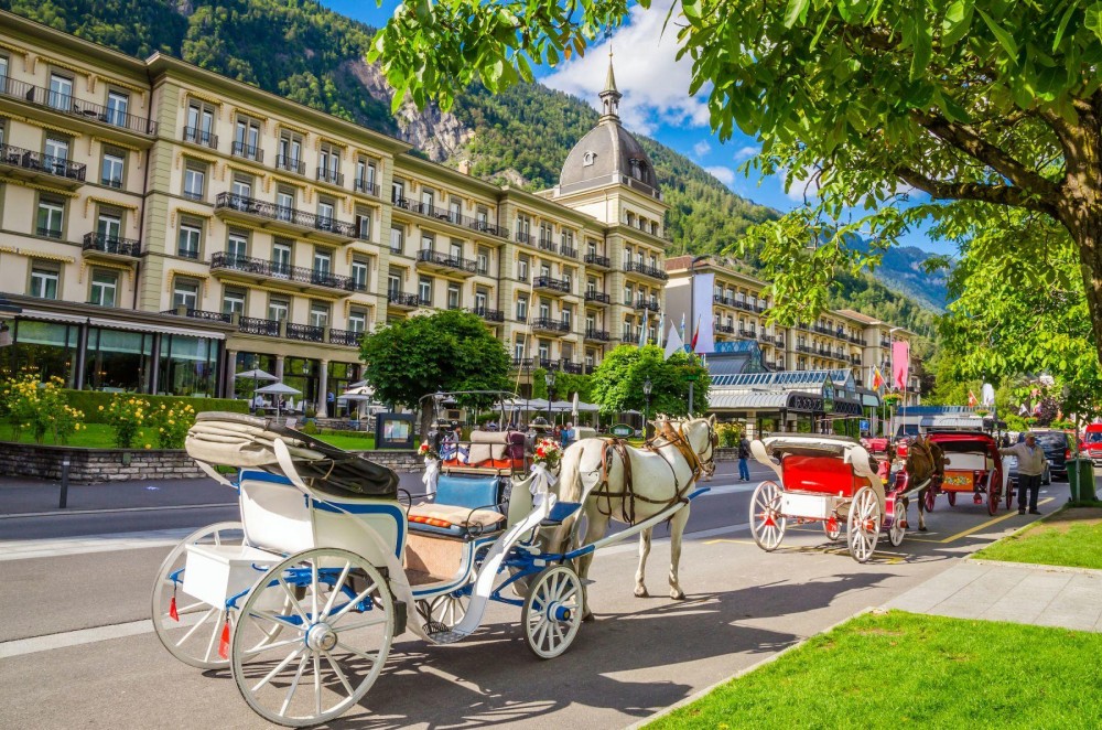 Zurich: Day Trip to Grindelwald & Interlaken by Bus & Train