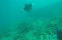 The Wreck - 2 Dives