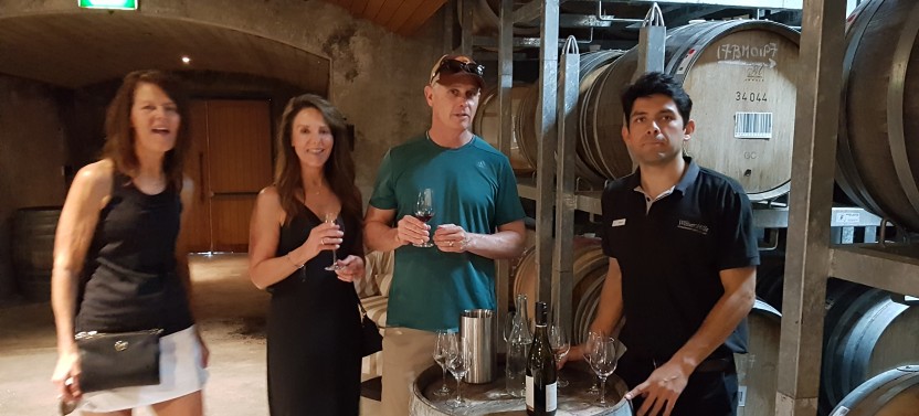 Afternoon Half-Day Marlborough Wine Region Tour (Picton/Blenheim)