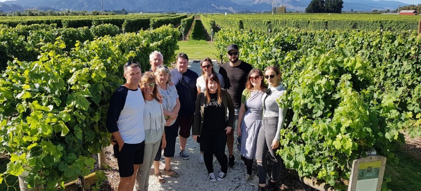 Morning Half Day Marlborough Wine Region Tour From Blenheim