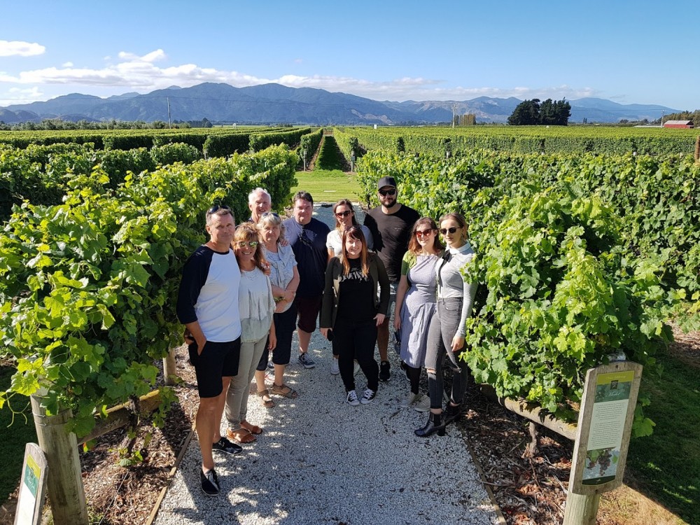 Morning Half Day Marlborough Wine Region Tour From Blenheim