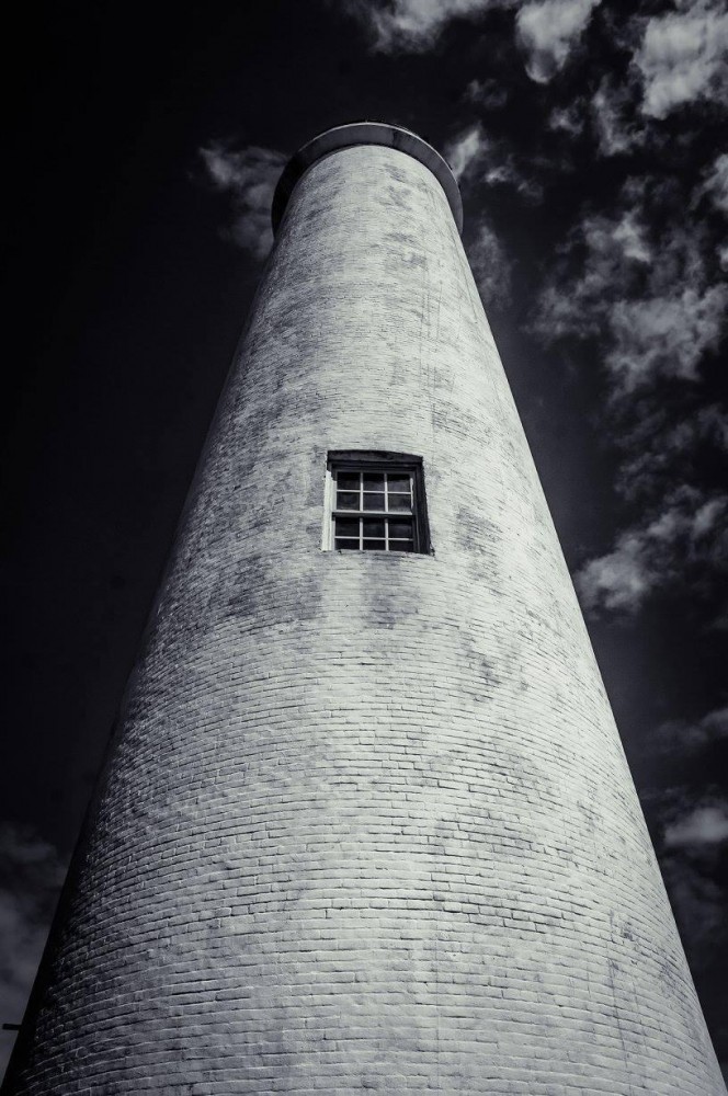 Egmont Key Snorkeling Dolphin Cruise Treasure Island Project Expedition