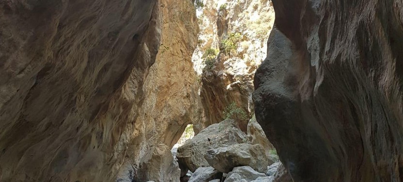Sarakina Gorge, Kritza, Olive Oil Tasting, Mountains, South Coast