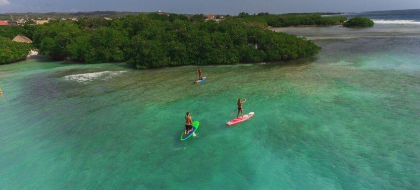 Stand Up Paddle Board Rental